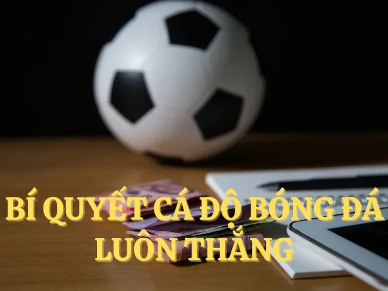 Tìm Hiểu Cá Cược Bóng Đá FB68: Hành Trang Cho Bet Thủ 2 Tìm Hiểu Cá Cược Bóng Đá FB68: Hành Trang Cho Bet Thủ