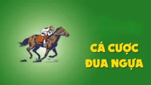 Tìm Hiểu Cá Cược Đua Ngựa FB68: Hành Trình Giải Trí Đầy Kịch Tính