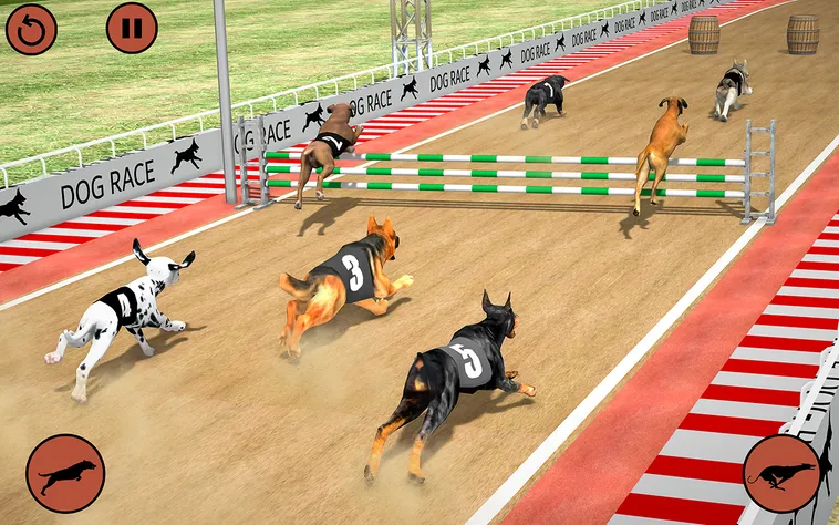 Hướng Dẫn Chơi Game Nhanh Đua Chó Tại FB68 Một Cách Hiệu Quả 2 Hướng Dẫn Chơi Game Nhanh Đua Chó Tại FB68 Một Cách Hiệu Quả